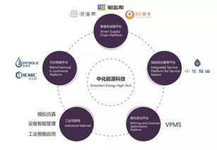 3年?duì)I收復(fù)合增長(zhǎng)率提升5倍 中化能源科技提供數(shù)字石化新路徑